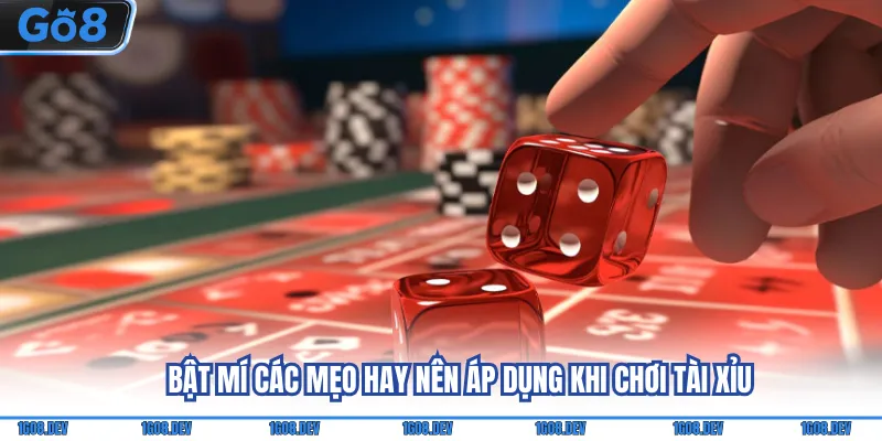 Bật mí các mẹo hay nên áp dụng khi chơi tài xỉu