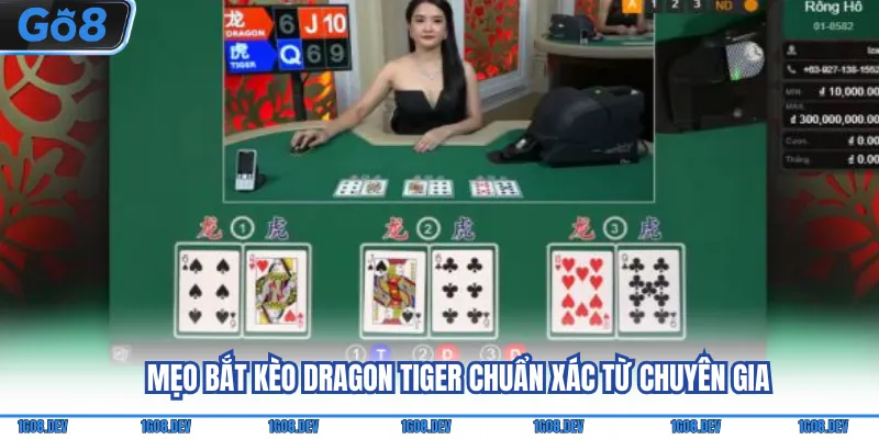 Mẹo bắt kèo Dragon Tiger chuẩn xác từ chuyên gia