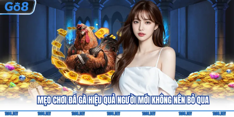 Mẹo chơi đá gà