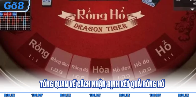 Tổng quan về cách nhận định kết quả Rồng hổ